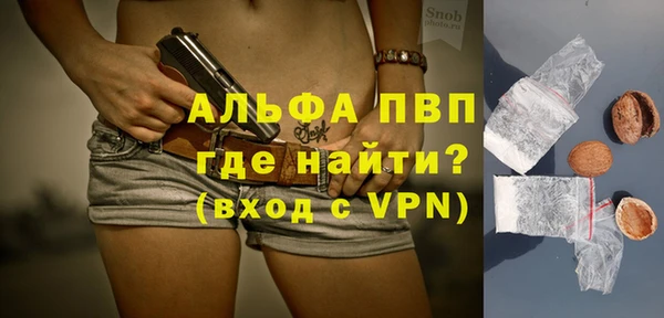 молекула духа Богданович