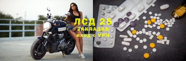 молекула духа Богданович