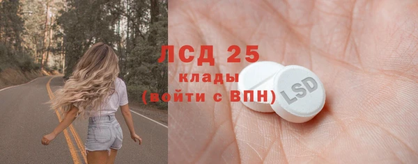 молекула духа Богданович