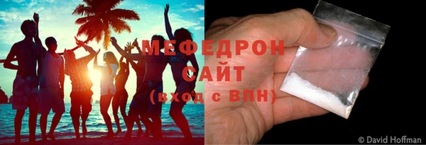 молекула духа Богданович