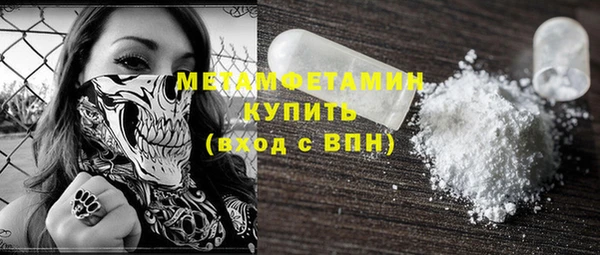 молекула духа Богданович