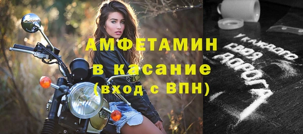 молекула духа Богданович