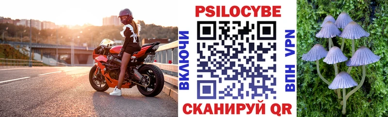 цены   Обь  Галлюциногенные грибы мухоморы 