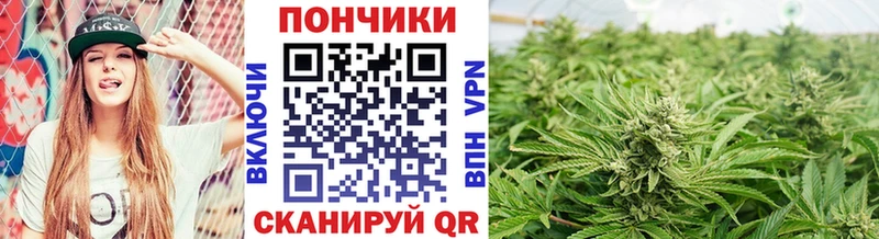 ссылка на мегу ONION  Обь  Каннабис SATIVA & INDICA 
